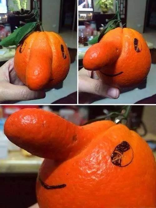 瓜怂吃瓜顺口溜,顺口溜里的欢乐时光