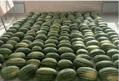 龙江吃瓜新闻,揭秘娱乐圈幕后故事