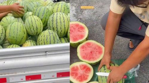 客户和老板吃瓜,笑料百出！