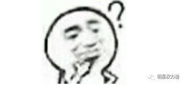 吃瓜粉丝已上线