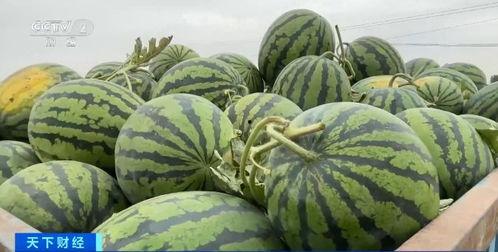 闾山最新吃瓜,揭秘最新吃瓜事件背后的真相