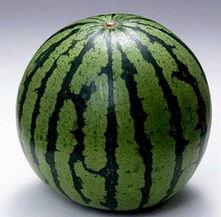 夏季吃瓜的人群