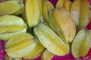 恩平市吃瓜,探寻这座美食之城的独特风味