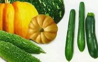 邕江吃瓜,一场别开生面的邕江文化体验