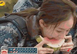 吃瓜萌萌哒,揭秘娱乐圈那些萌趣瞬间