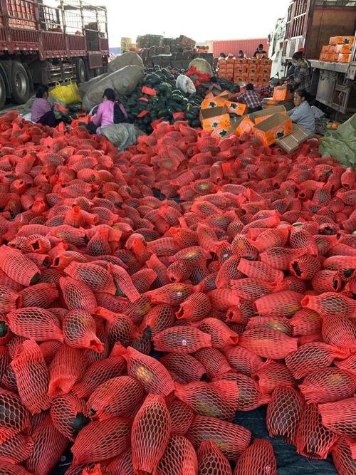 宜兴苏宁吃瓜,揭秘背后的真相与争议