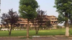 徐州建院吃瓜事件,校园风波背后的真相与反思