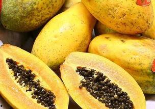 吃乳瓜有什么好处,揭秘吃乳瓜的五大益处