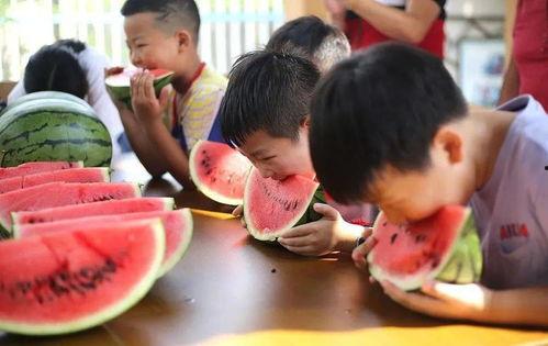 视觉盛宴吃瓜方法,解锁观瓜新姿势