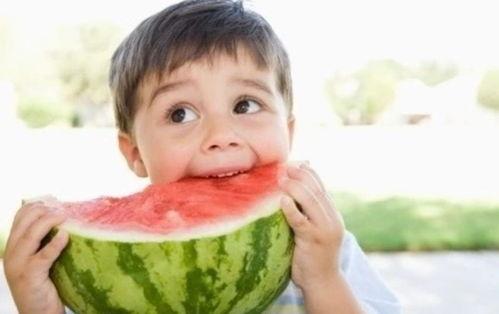 云木吃瓜贴吧,揭秘网络热点的背后故事