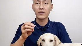 猫吃哈密瓜么,哈密瓜的诱惑与挑战