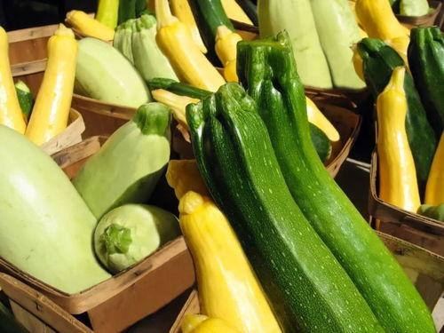 天津大港吃瓜,瓜香四溢的夏日美食之旅