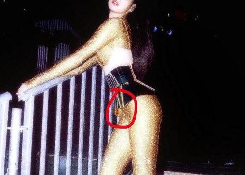 lisa被吃瓜,揭秘娱乐圈背后的真相与争议