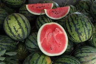 郑州买瓜群众吃瓜,夏日街头吃瓜文化盛况