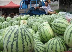 吃瓜最前线速来吃瓜,揭秘娱乐圈最新热点事件