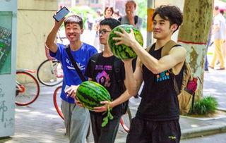 学校吃瓜程度,揭秘校园吃瓜文化的盛况与趣味