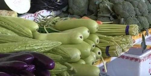 吃白色瓜吃到苦,揭秘白色瓜果从苦到甜的奇妙之旅