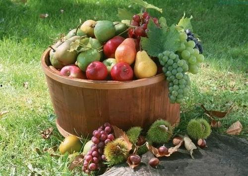 梦见吃瓜露水果,瓜果飘香，揭秘梦境中的甜蜜诱惑