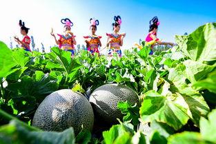 吃瓜吸引,揭秘吃瓜群众的狂欢与思考