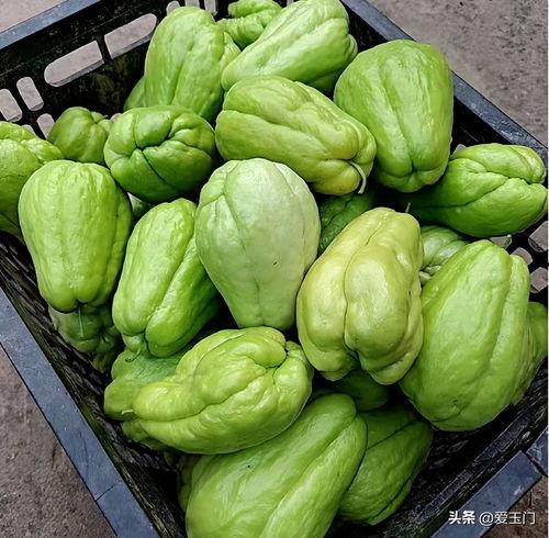 冬天吃的一种有水的瓜,甘甜润心——冬日水瓜美食之旅