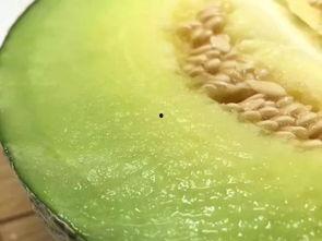 饭后可以吃哈密瓜吗,饭后适宜食用哈密瓜的解析