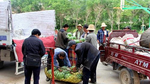 辉县吃瓜群众反应,揭秘当地热点事件背后的真相