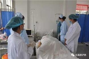 沈阳医院吃瓜事件,真相与争议的漩涡