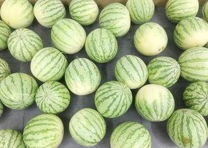 爱静吃瓜,揭秘娱乐圈背后的秘密与八卦