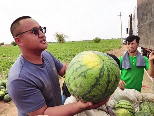 封丘吃瓜新闻,揭秘当地热门事件背后的真相与热议
