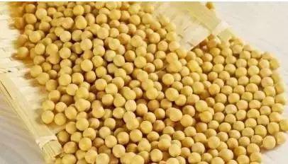 小黄豆吃瓜大姐