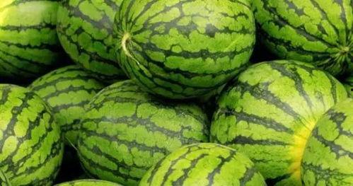 吃瓜求助,揭秘网络舆论背后的真相