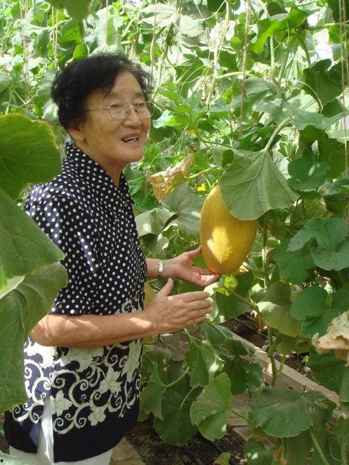 世纪咏歌吃瓜,揭秘吃瓜背后的娱乐风云