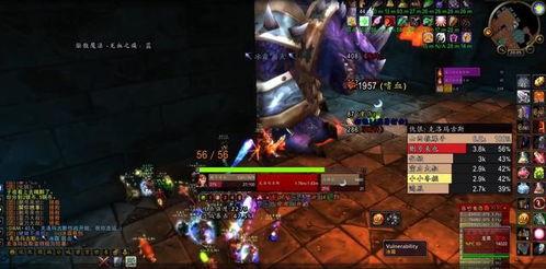 魔兽正式服吃瓜