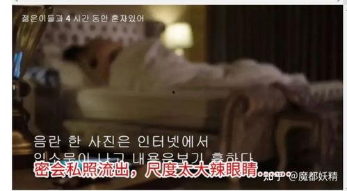 全网红明星吃瓜,网红明星吃瓜大揭秘，娱乐圈幕后真相曝光！