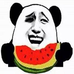 吃瓜可爱的群头像