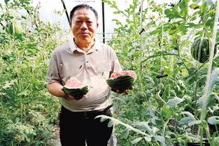 寺寺吃瓜,揭秘娱乐圈那些不为人知的幕后故事 第2张 寺寺吃瓜,揭秘娱乐圈那些不为人知的幕后故事 第2张