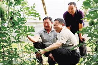 寺寺吃瓜,揭秘娱乐圈那些不为人知的幕后故事 第3张 寺寺吃瓜,揭秘娱乐圈那些不为人知的幕后故事 第3张