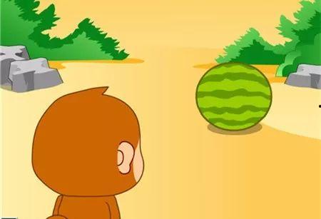 小猴子吃小瓜 第2张 小猴子吃小瓜 第2张