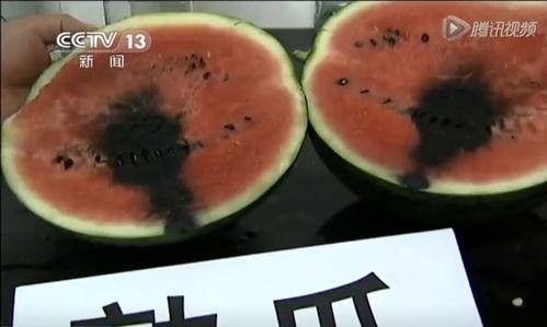 美国高空吃瓜视频  第3张