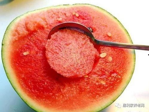 吃瓜不打烊吃瓜51,揭秘吃瓜51背后的精彩故事 第2张 吃瓜不打烊吃瓜51,揭秘吃瓜51背后的精彩故事 第2张