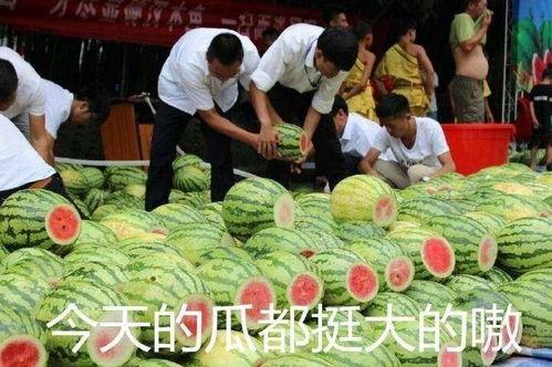 实锤还是吃瓜,揭秘网络舆论背后的真相 第1张 实锤还是吃瓜,揭秘网络舆论背后的真相 第1张