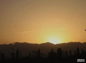 吃瓜看日落 第2张 吃瓜看日落 第2张