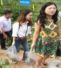 邵阳母女吃瓜事件,一场引发社会热议的街头冲突  第2张