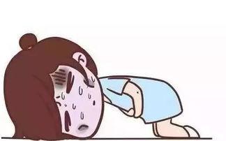 吃瓜不吃醋,不吃醋的智慧生活态度  第1张