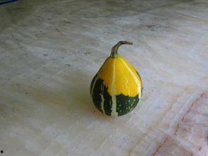 拳头瓜可以吃吗?,美味还是禁忌？探究其可食用性  第3张