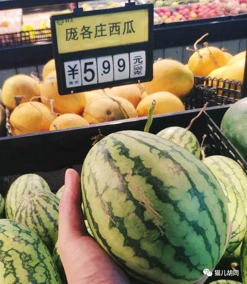 京城吃瓜,揭秘京城美食圈的那些事儿  第1张