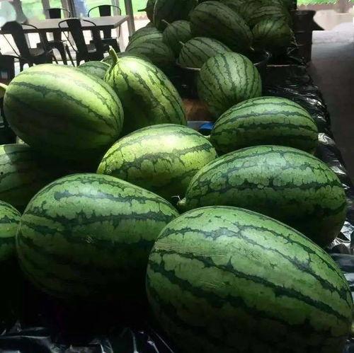 京城吃瓜,揭秘京城美食圈的那些事儿  第2张