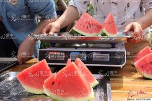 聊城市最近吃瓜  第3张