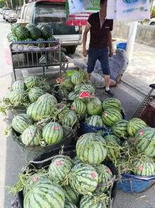 西青中北吃瓜事件视频,一场网络热议的真相揭秘  第3张