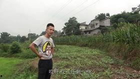 农村小公婆吃瓜,共享田园生活乐趣  第3张